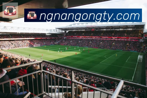 南宫体育服务体系