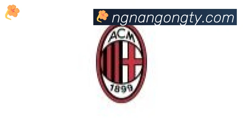 南宫体育合作伙伴