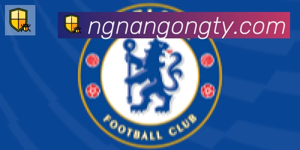 南宫体育合作伙伴