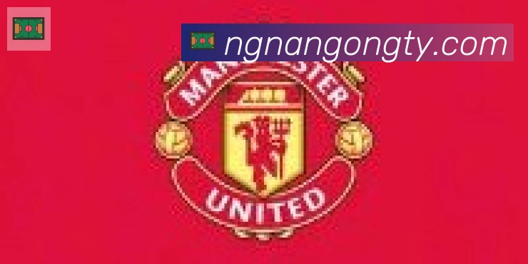 南宫体育合作伙伴