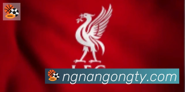 南宫体育合作伙伴