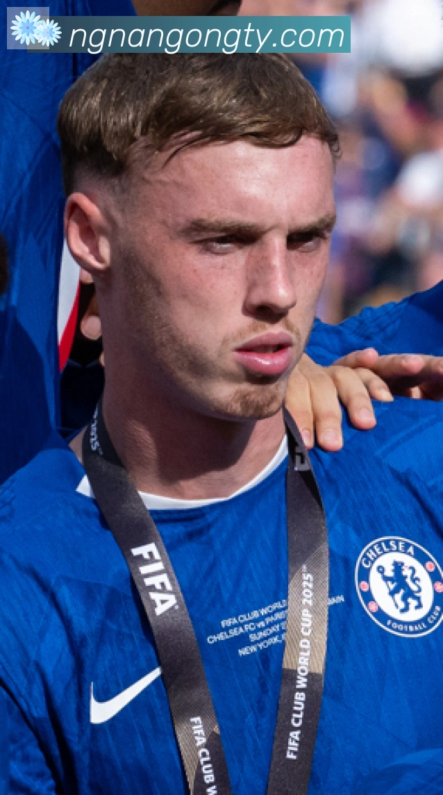 阿方索·戴维斯